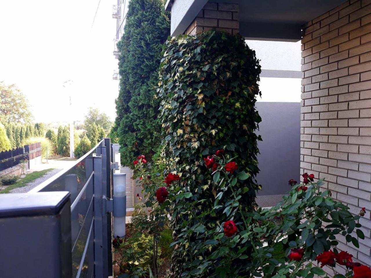 Apartments Popovic ベオグラード エクステリア 写真